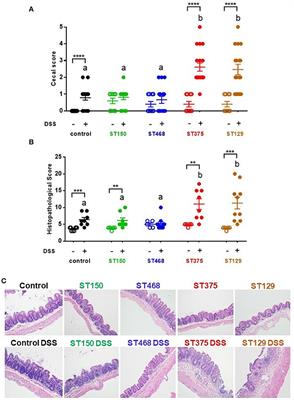 Commensal Escherichia coli Strains Can Promote Intestinal Inflammation via Differential Interleukin-6 Production